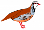 Avatar de PacoLopez